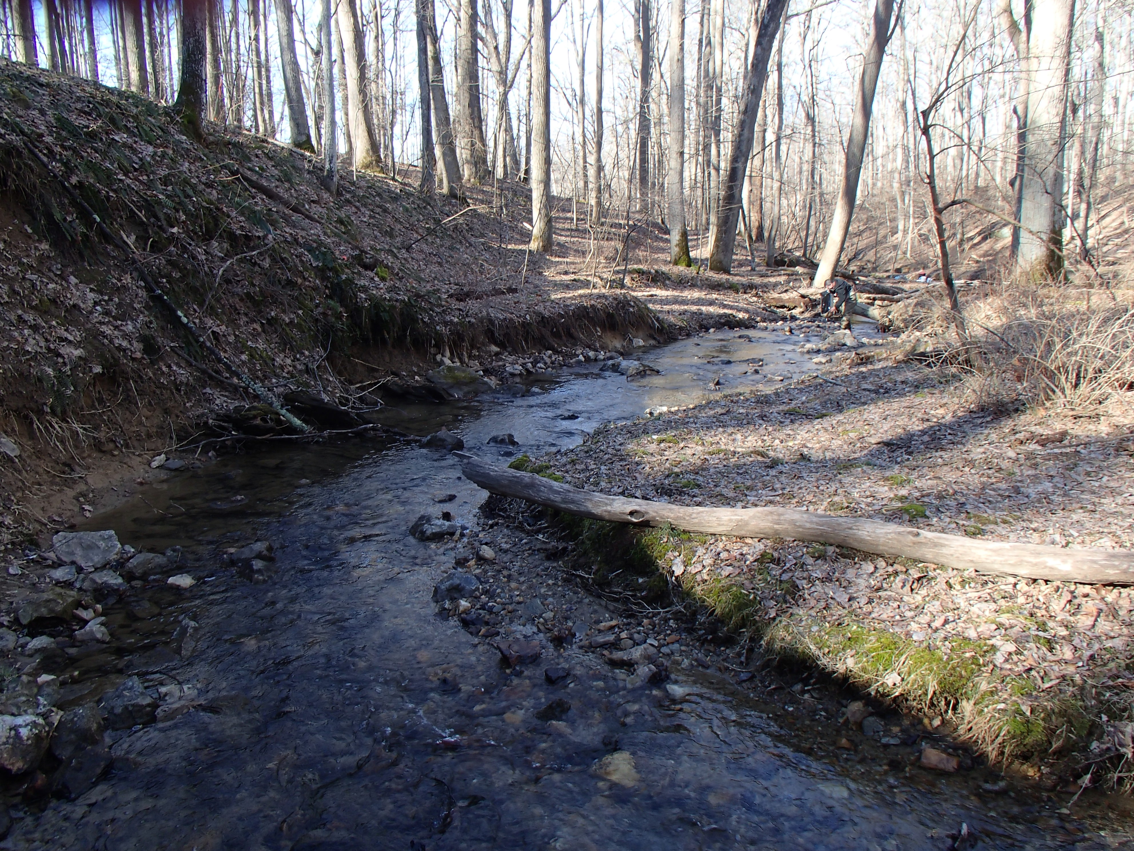 Field photo showing stream conditions at site LIBE-102-S-2016_Midpoint looking downstream